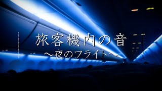 【ASMR環境音】飛行機旅客機内の音～夜のフライト～（睡眠集中用BGM） [upl. by Notgnilliw]