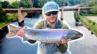 EPIC Salmon Fishing at Cargill  River Tay [upl. by Nayab]