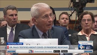 Dr Fauci testifies about Covid19 response [upl. by Atnwahs877]