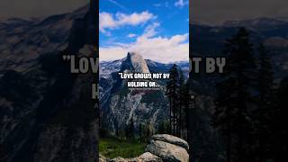 Love Quotes 01 shorts loveshorts love viralvideo [upl. by Bomke]