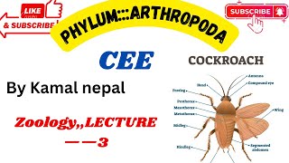 Phylum ArthropodaCee best lecture with notes lecture3 [upl. by Miett637]