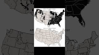 Virgin Forest Cover 1620 vs Today [upl. by Aihsekan]