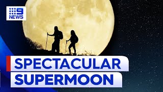 How you can see rare super blue moon extravaganza in Australia  9 News Australia [upl. by Attikram]