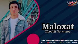 Ziyodali Normatov maloxat 2024 [upl. by Chirlin]