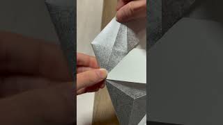 Origami DimensionsSilver shorts [upl. by Jehiah888]