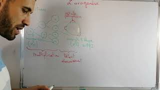 Lovogenèse Avec soustitres  SVT BAC [upl. by Cathie]