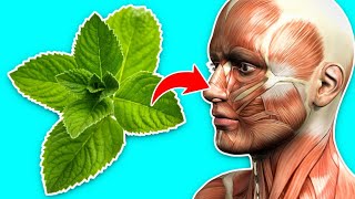 7 Health Benefits of Mint Leaves You Don’t Know About [upl. by Swetiana]