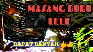 Masang PERANGKAP IKAN LELE [upl. by Schechinger]