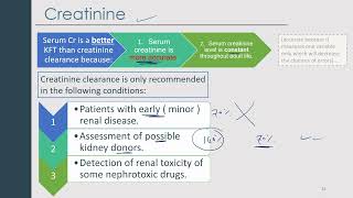 Renal functions test 02 [upl. by Annaed577]