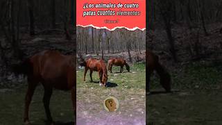 CUÁNTO SABE DE TU CUERPO parati quiz shortvideos viralvideos energia [upl. by Vano]