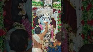 santipur boro gopal pujo aarati 2024 gopal santipur holi aarti dolyatra krishna viral shorts [upl. by Elrak781]