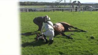 Racing horse death by accident in Galway [upl. by Hgielram396]