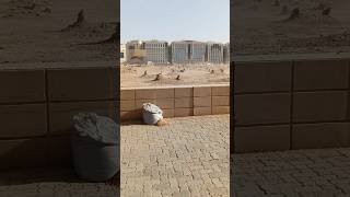 jannatul baki islamicshorts viralvideo islamiccity 2024 madina pak [upl. by Alin]