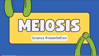 Stages of meiosisigcse biology and A levels [upl. by Irolav]