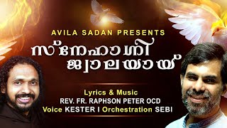 Snehagni Jwalayam Lyrics Music Fr Raphson  Kester Sebi MM Byro Creations  Avila Sadan [upl. by Ajad]