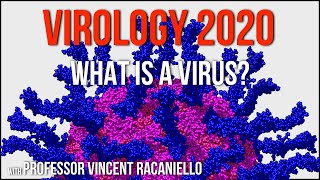 Virology Lectures 2020 1 What is a Virus [upl. by Enedan625]