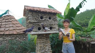 Build a stone house for birds nest  Simple technique of cement with stone  Green forest farm life [upl. by Bunting73]