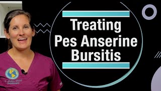 Pes Anserine Bursitis Diagnosis and Treatment Prolotherapist Danielle Matias PAC [upl. by Lipps]