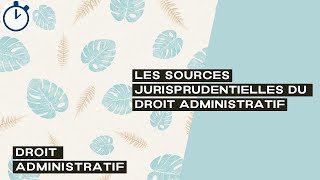 Les Sources Jurisprudentielles du Droit Administratif  Droit Administratif [upl. by Haney]