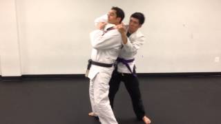 Gracie JiuJitsu Rear Choke Defenses [upl. by Rorie]