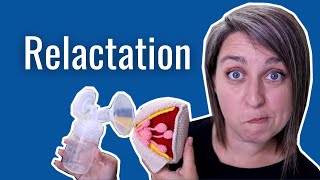 Relactation  Should you relactate during the formula shortage [upl. by Hadihsar]