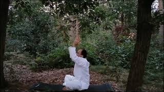 Qi Gong Meditation [upl. by Aleuqahs]