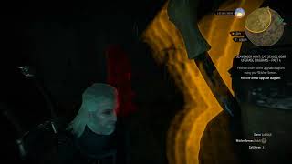 Witcher 3  Cave South of Trottheim Statue Puzzle Solution [upl. by Wini625]