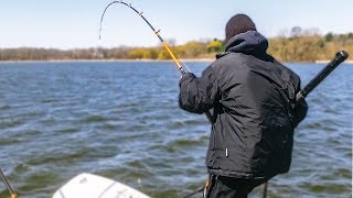 MONSTER Fish in SUPER SHALLOW Water [upl. by Ezarra]