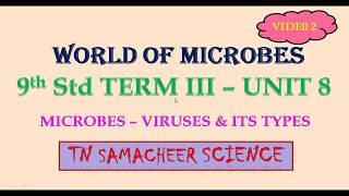 9th Std TN Samacheer Science  World of Microbes  Virus Prions amp Fungi [upl. by Christal]