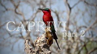 Caprivi part 2 [upl. by Aubin316]