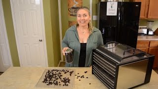 How To Pit And Dehydrate Cherries [upl. by Rodmann]