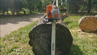 STIHL MS 462 MTronic amp blade 90 cmchain Stihl RS [upl. by Carola719]