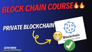 Private Block Chain  Blockchain Complete Course in Hindi  True Engineer [upl. by Marylynne250]