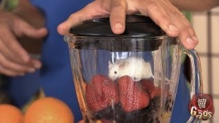 La souris dans le blender à jus [upl. by Kcirdez102]