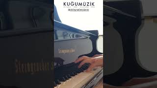 Steingraeber Piano piano grandpianos 6 piyano [upl. by Matrona]