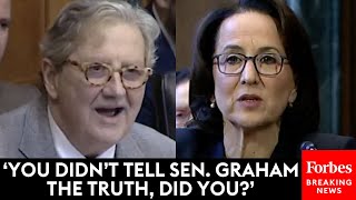 BREAKING NEWS John Kennedy Brutally Grills Major Judicial Nominee Accuses Her Of Lying [upl. by Autry]