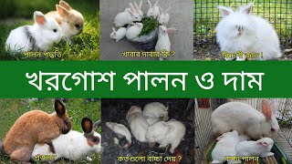 খরগোশ পালন  Rabbit Rearing In Bangla  Rabbit Price In Bangladesh and India  Khorgos Palon [upl. by Clova]