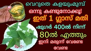 അറിയാതെ പോവല്ലേ ഇനി മരുന്നു കഴിക്കേണ്ട വെറും രണ്ടില മതി ഷുഗർ പ്രഷർ കൊളസ്ട്രോൾ ഇനി അടുക്കില്ല Uses [upl. by Dympha]