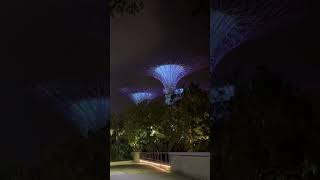 Gardens By The Bay Singapore [upl. by Cirred]