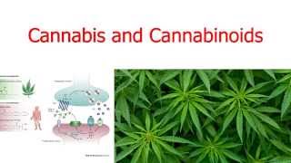 Cannabis and Cannabinoids [upl. by Donela]