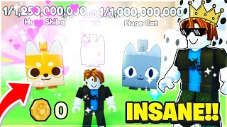 Noob Spawns With FULL HUGE TEAM In Pets GO Roblox [upl. by Etnaled]