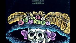 Skull Snaps  Its A New Day 1973 [upl. by Choo385]