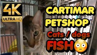 CARTIMAR PETSHOP MANILA PHILIPPINES CATS FOR SALE WBREED AND PRICE UPDATE [upl. by Refannej129]