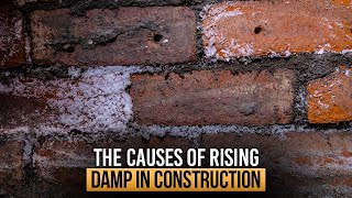 What is rising damp  The Causes Of Rising Damp In Construction [upl. by Swane634]