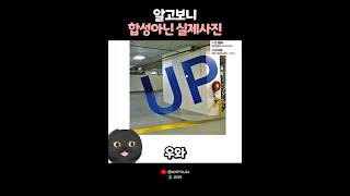 진짜인데 가짜같은 진짜같은 사진 😹 [upl. by Loleta]