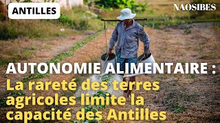 Autonomie alimentaire aux Antilles  10 choses à savoir sur le foncier Agricole [upl. by Aleusnoc]