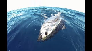 Trabucco TV  Drifting al tonno rosso [upl. by Akkimat]