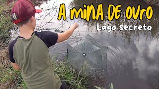 CAPTURA DE ISCA VIVA COM ARMADILHA NO LAGO SECRETO [upl. by Macey122]