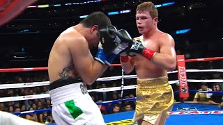 Canelo Alvarez Mexico vs Alfonso Gomez Mexico  KNOCKOUT Boxing Fight Highlights  HD [upl. by Bush195]