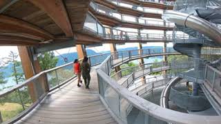 Malahat Skywalk in 360 [upl. by Charlton]